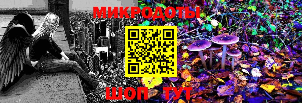 Псилоцибиновые грибы мицелий Ижевск