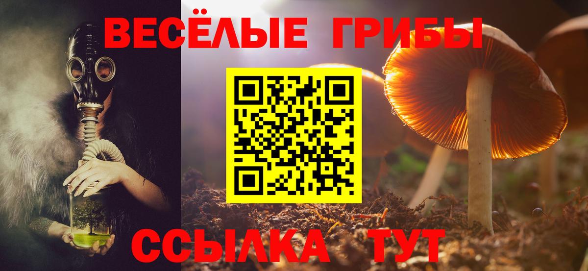 Псилоцибиновые грибы мицелий  Галлюциногенные грибы мицелий  Вход с VPN  Ижевск 