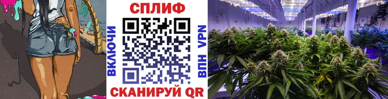 мега онион  Ижевск  Марихуана тримм 